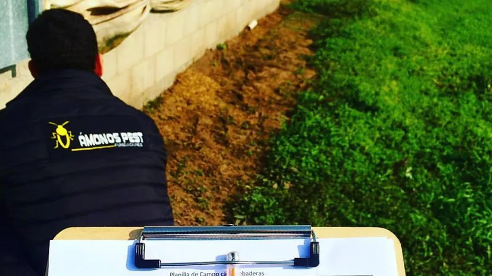 Técnico de Vámonos Pest con su planilla de trabajo