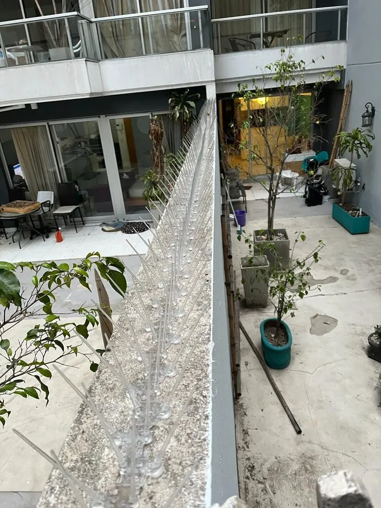 Pinchos antipalomas instalados sobre una medianera