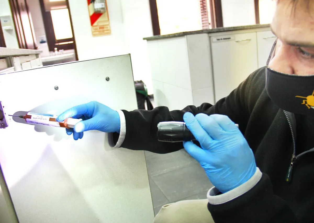 Técnico revisando con linterna y aplicando gel insecticida